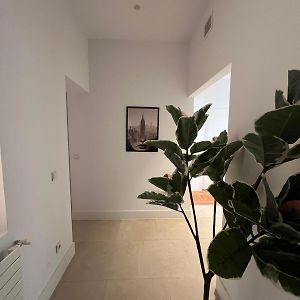 Private Rooms In Magdalena Street